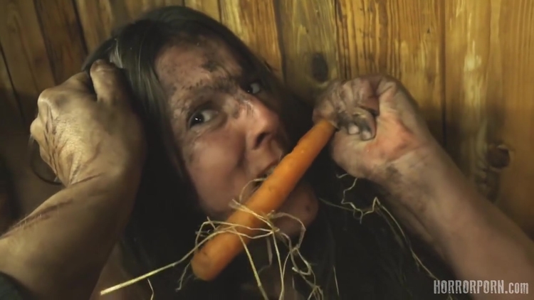 Rabbit Hutch 37_main_thumbnail