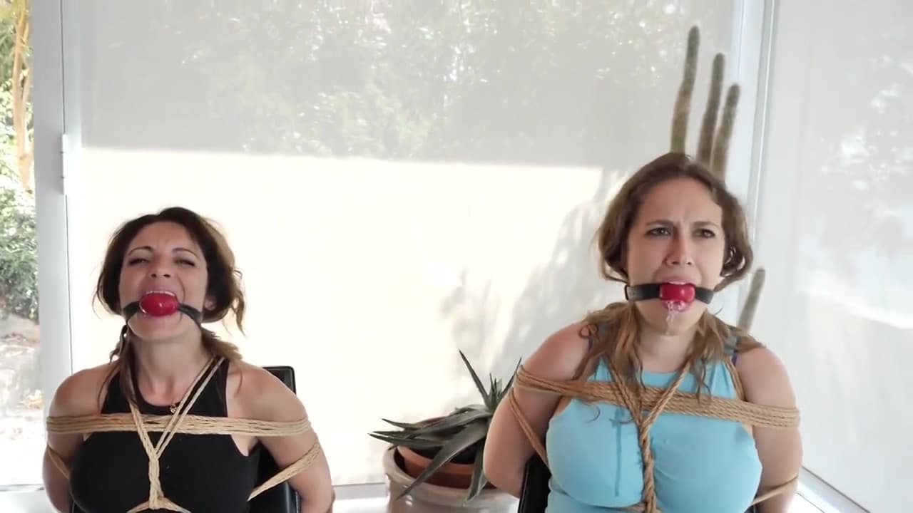 The Bet_main_thumbnail