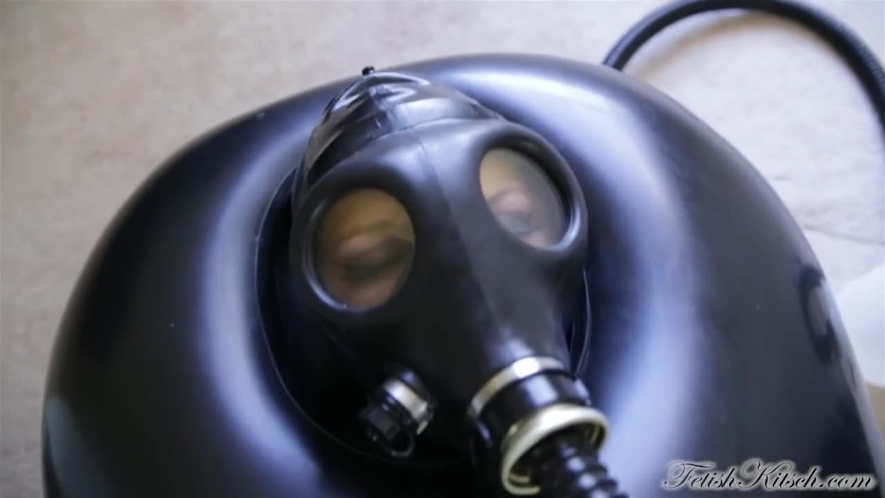 Day In Total Enclosure_main_thumbnail