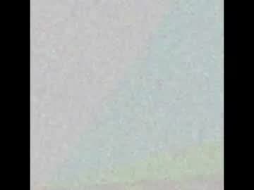 Freya and Ezra live cam