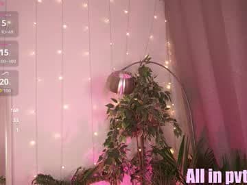 Im Asuna! 👉 next stream February 20 at ~ 4-5 pm (GMT)/ live cam