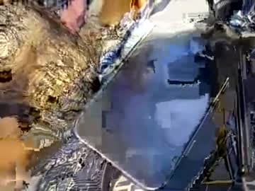 South_Secret live cam