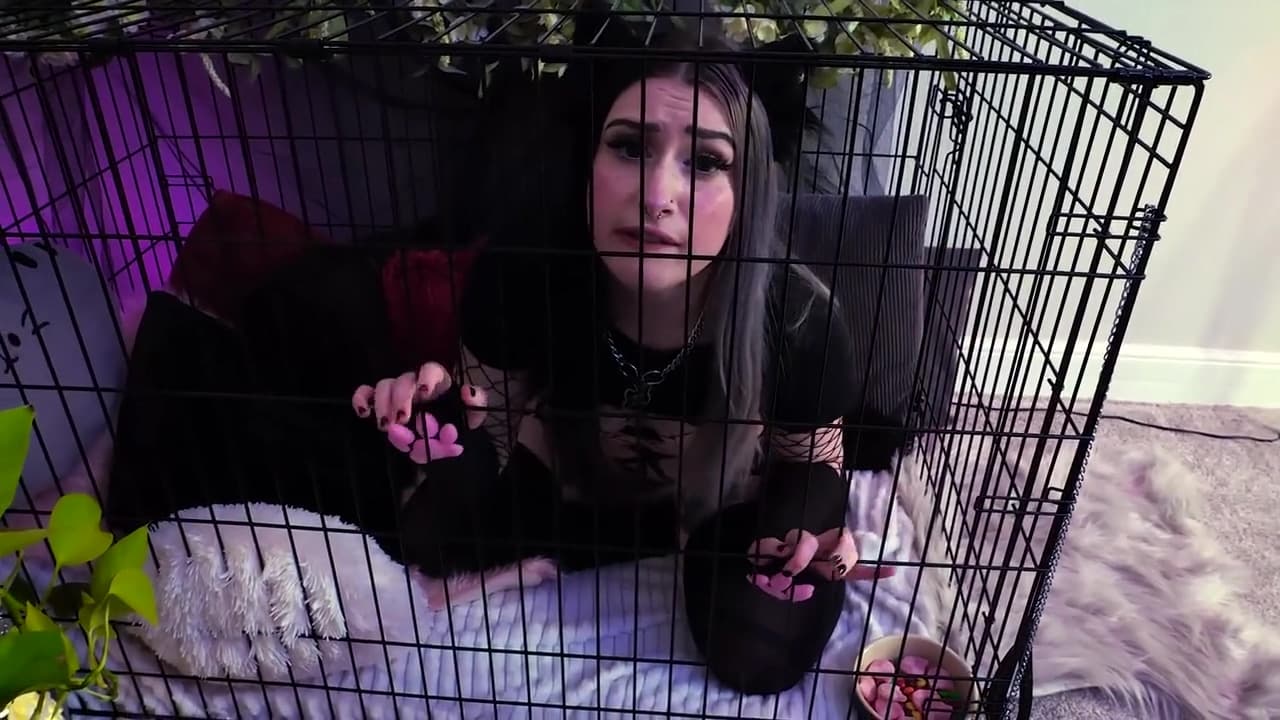 Divinely - Kitten Begs Master For Anal Breeding_main_thumbnail